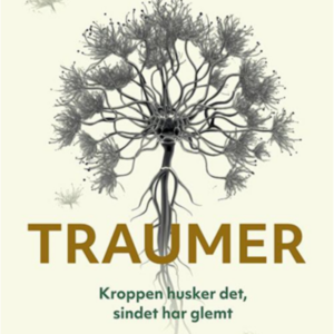 Traumer 2